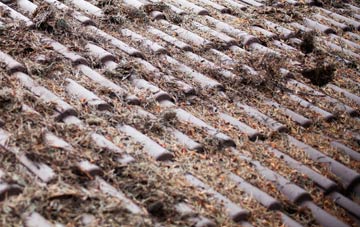 Holton St Mary roof cleaning companies