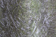 Holton St Mary fibreglass roof work